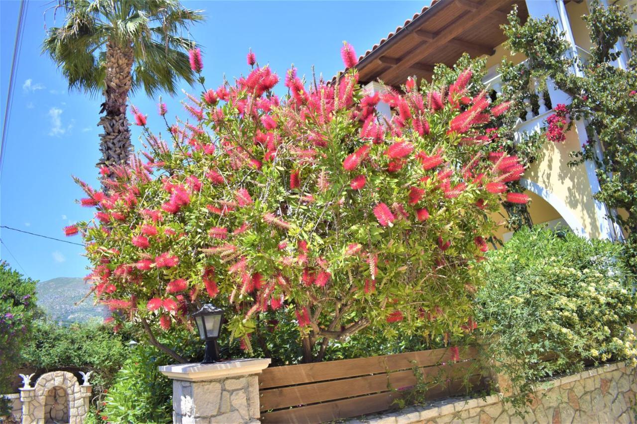Villa Dionysios Keri Exteriör bild