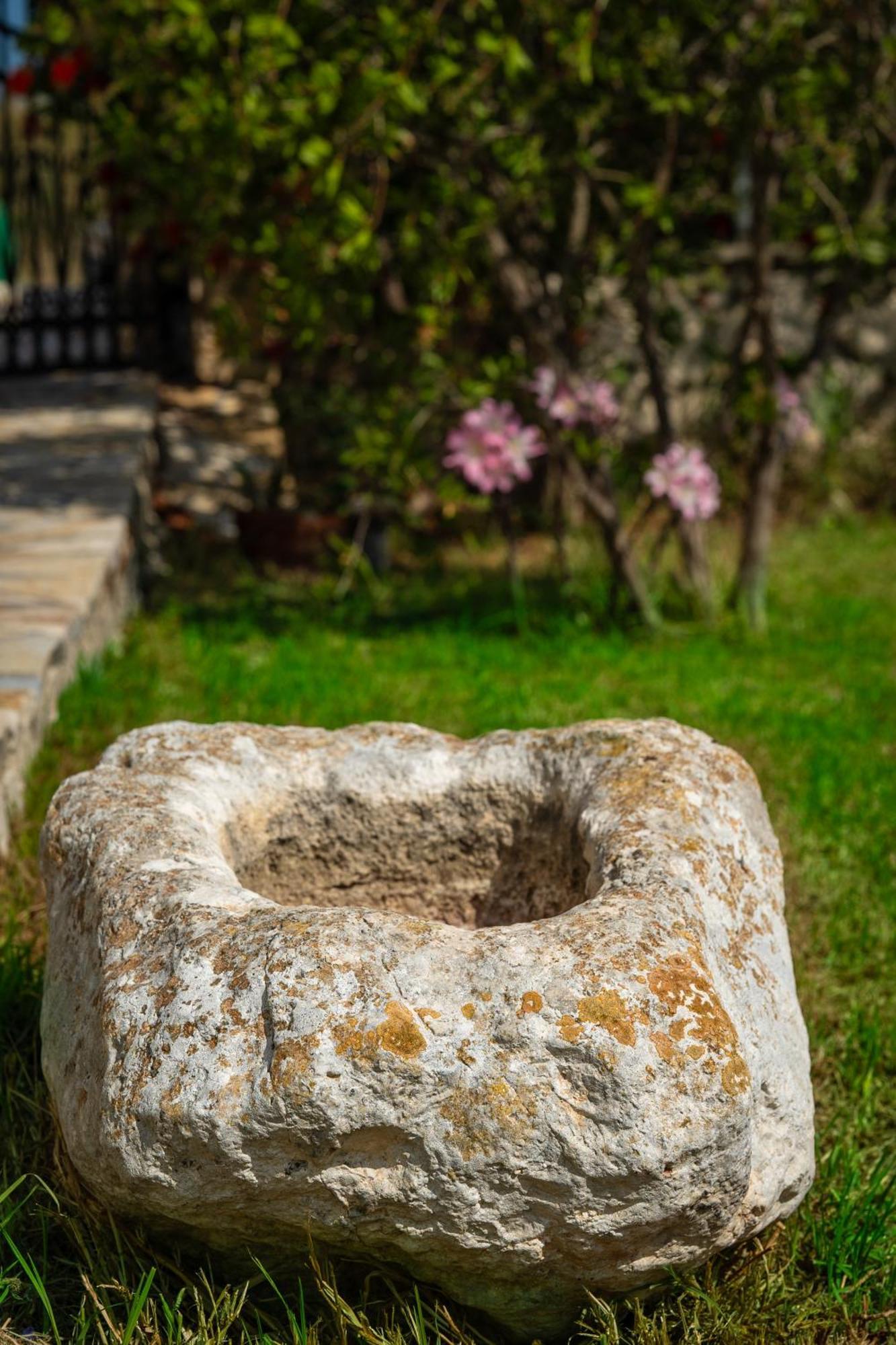 Villa Dionysios Keri Exteriör bild