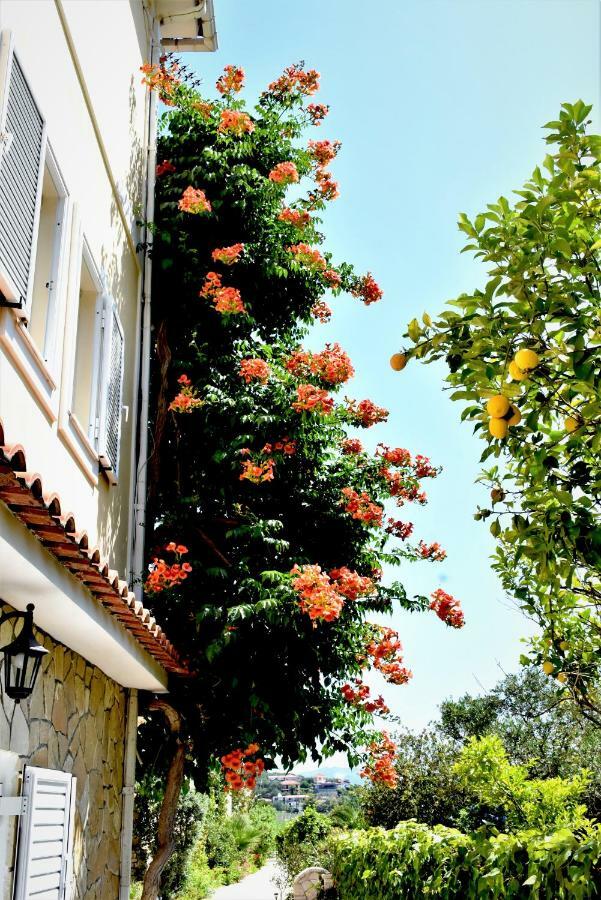 Villa Dionysios Keri Exteriör bild